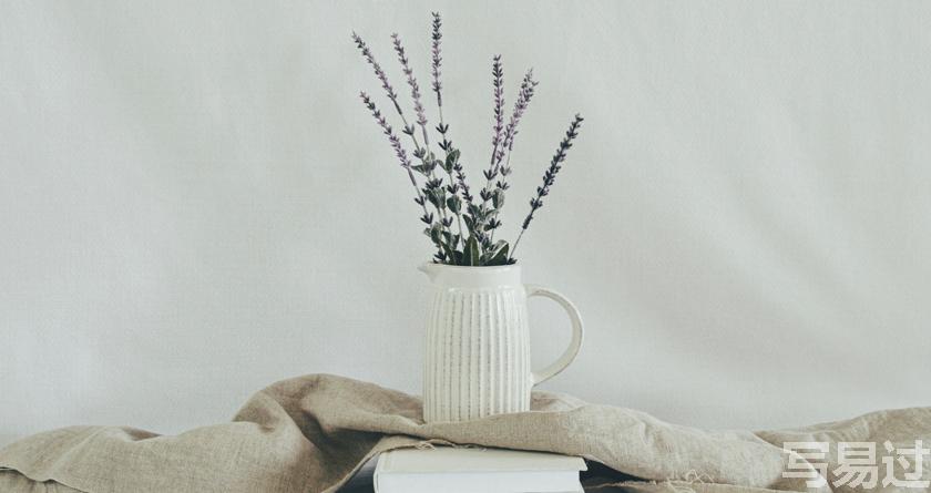 写易过降AIGC，写易过论文查AI率，写易过机器降重，写易过论文查重，写易过论文检测，写易过智能降重