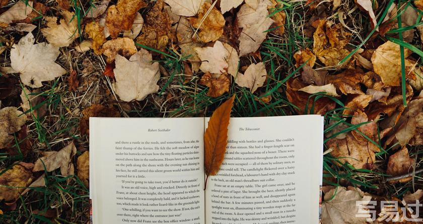 写易过降AIGC,写易过论文查AI率,写易过机器降重,写易过论文查重,写易过论文检测,写易过智能降重